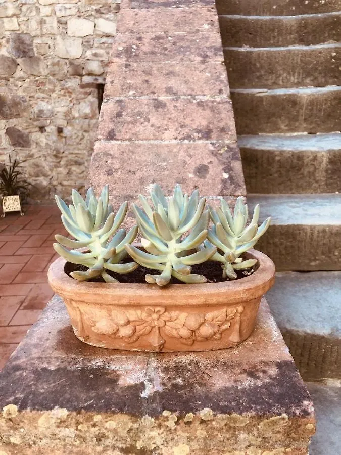 Mea Casa Toscana Castellina in Chianti Italy