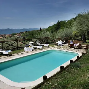 Belli - Luxury With Saltwater Swimmingpool Agnino