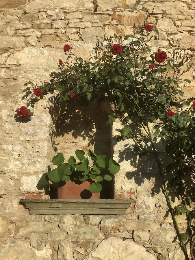 Mea Casa Toscana Castellina in Chianti Appartement