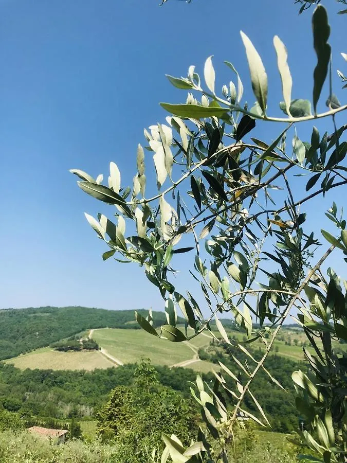 Mea Casa Toscana Castellina in Chianti Appartement