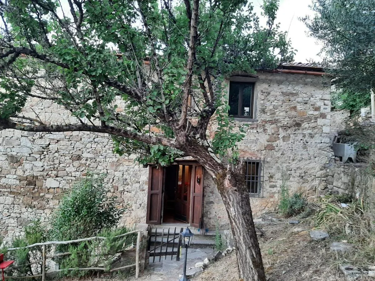 Mea Casa Toscana Castellina in Chianti Italië